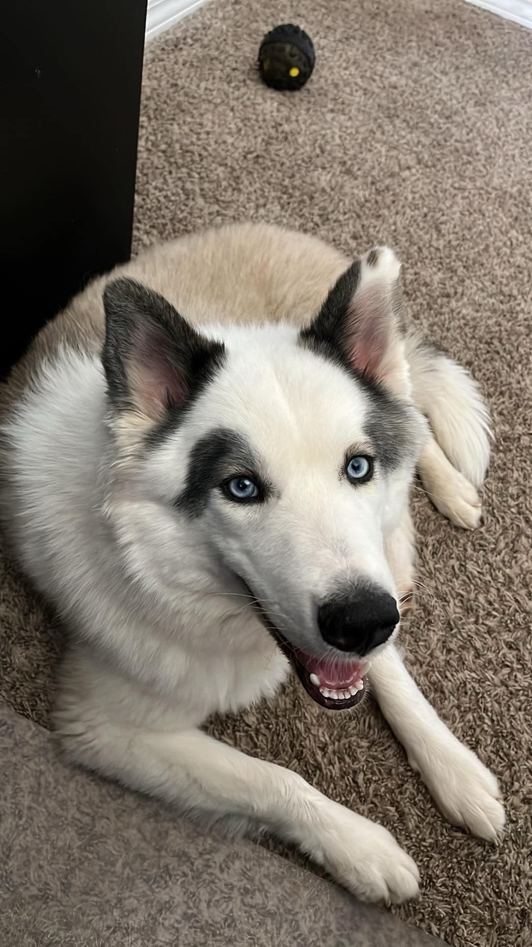 Sitka