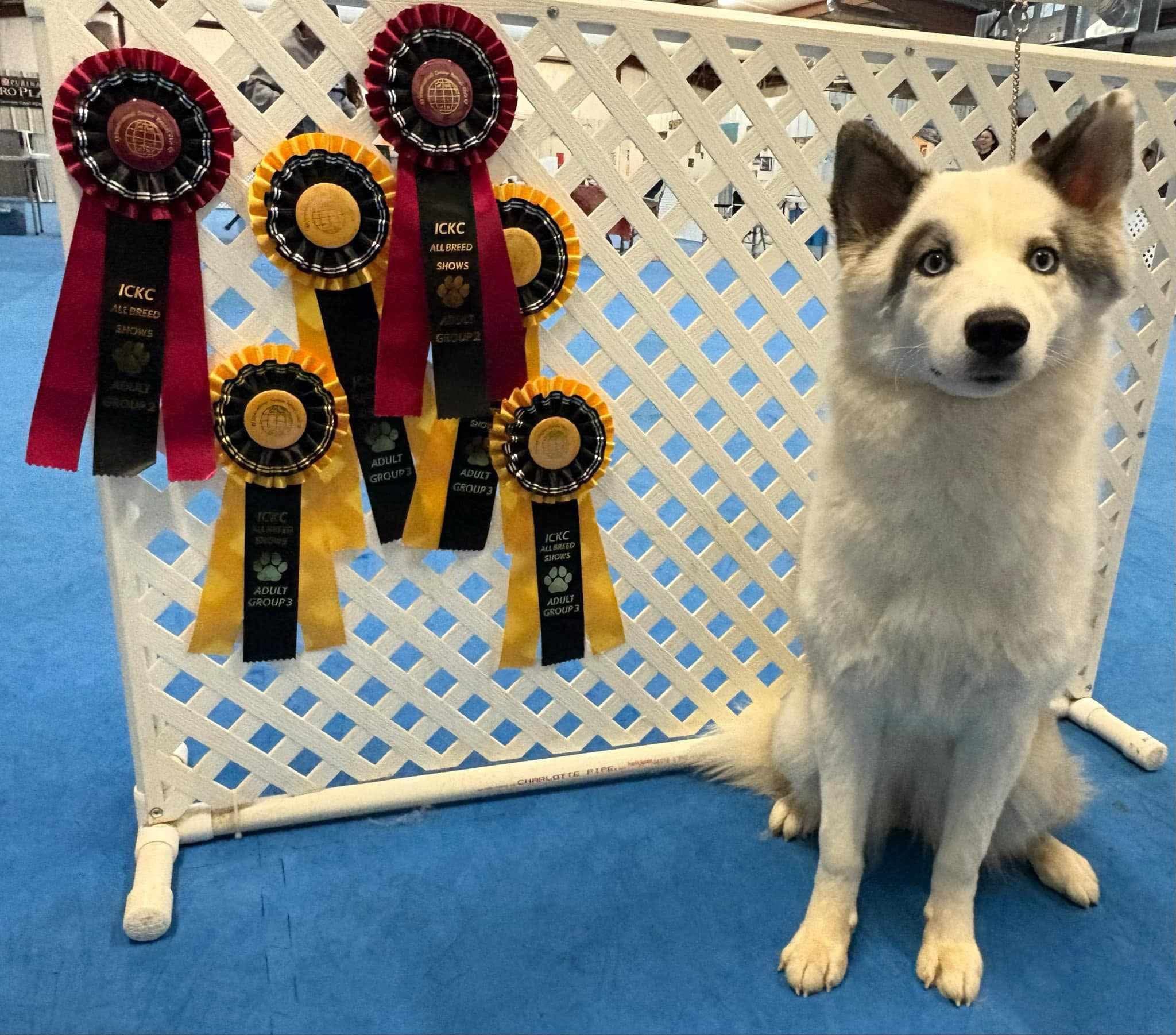 Sitka